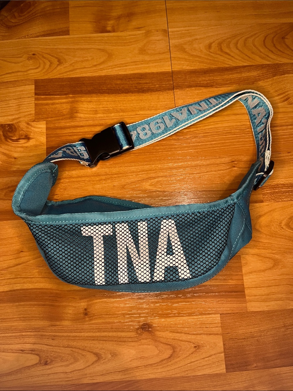 NWOT TNA | Mesh Fanny Pack